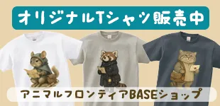 アニマルフロンティアBASEショップ サマーセール
